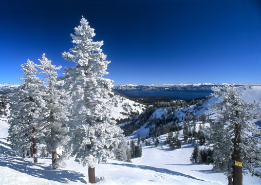 Sun Spot, Alpine Meadows