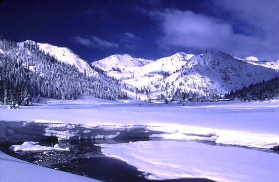 Squaw Valley Meadow