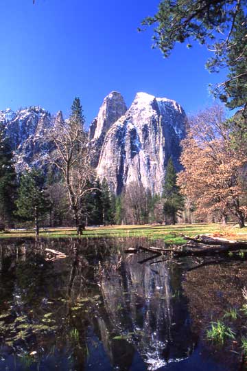 Cathedral Reflections, Yosemite Valley